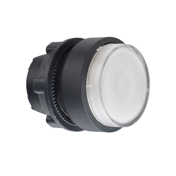 ZB5AHCUST08 – DOUBLE ILL. PUSHBUTTON HEAD