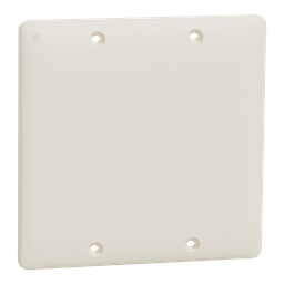 SQWS140002LA – Blank plate, X Series, 2 gang, light almond, matte finish