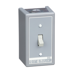 2510KG1 – Switch, manual, 30A, 2 pole, 3 HP at 575 VAC, single phase, toggle operated, no indicator, NEMA 1 enclosure