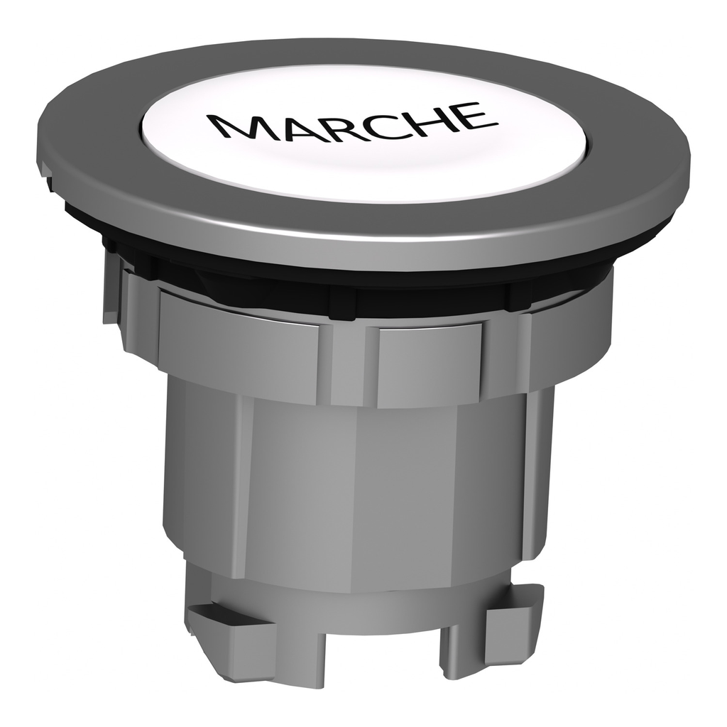 Mayer-DDS-Head for illuminated push button, Harmony XB4, metal, white flush, 30mm, spring return, black marked MARCHE-2