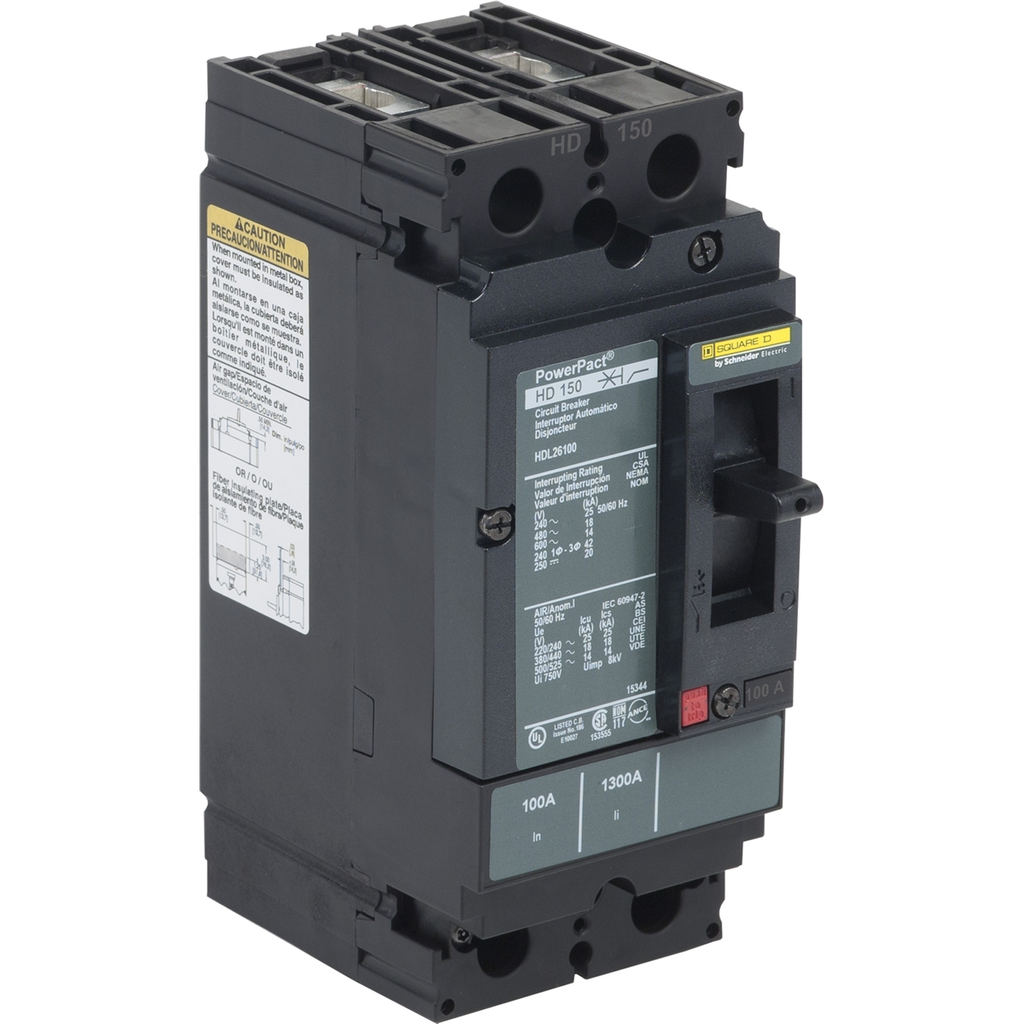Mayer-DDS-Circuit breaker, PowerPacT H, 100A, 2 pole, 600VAC, 14kA, lugs, thermal magnetic, 80%-2
