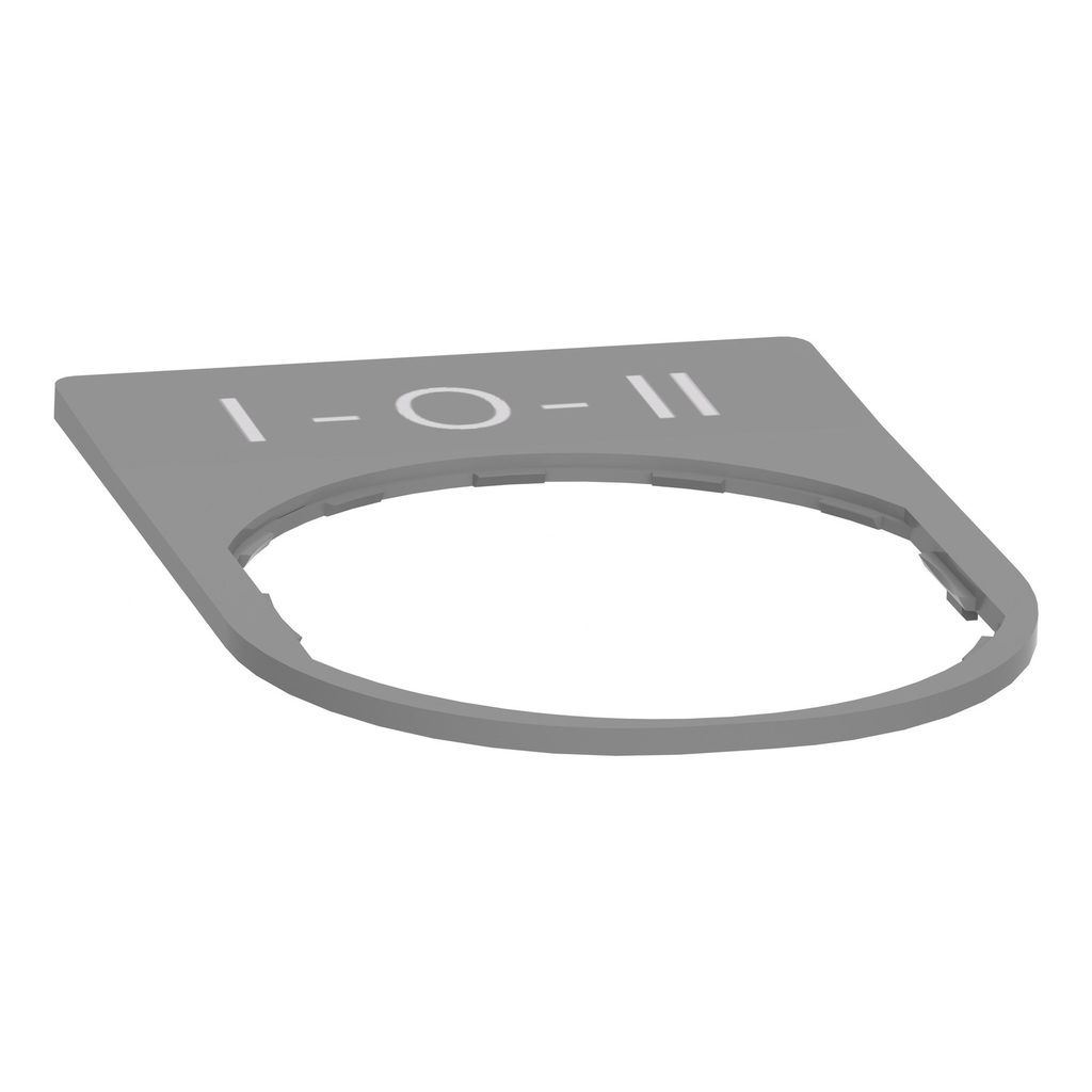 Mayer-DDS-Legend plate, Harmony XB5, 30 x 40mm, grey bezel, white marked I-O-II-2