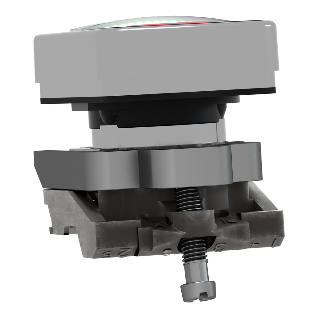 Mayer-DDS-Illuminated double headed push button head, Harmony XB4, metal, 22mm, 1 green fLush+1 pilot light+1 red flush, unmarked-2