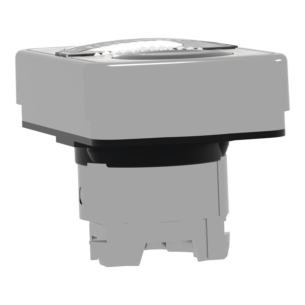 Mayer-DDS-Head for illuminated double headed push button, Harmony XB4, white flush black flush push button 22mm unmarked-2