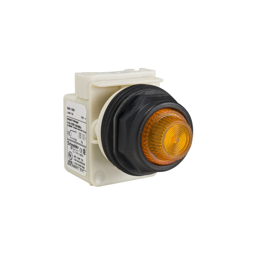 Mayer-DDS-30mm push button, Type SK, push to test pilot light, yellow 24/28VAC/VDC LED light module, amber domed lens, NEMA 4, 4X-1