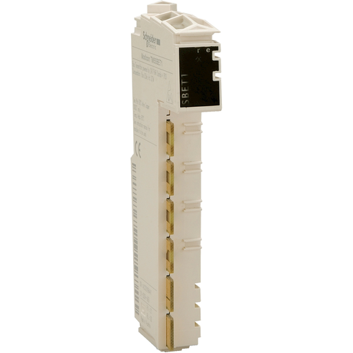 Mayer-DDS-remote transmitter module, Modicon TM5, communication between RIO-1