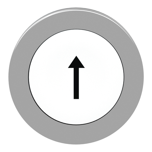 Mayer-DDS-Flush mounted push button head, Harmony XB4, metal, white, 30mm, spring return, marked UP ARROW-2