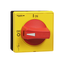 Disconnect switch, TeSys VLS, protruding rotary handle, screw mounting, 65x65mm, red handle, 5mm shaft