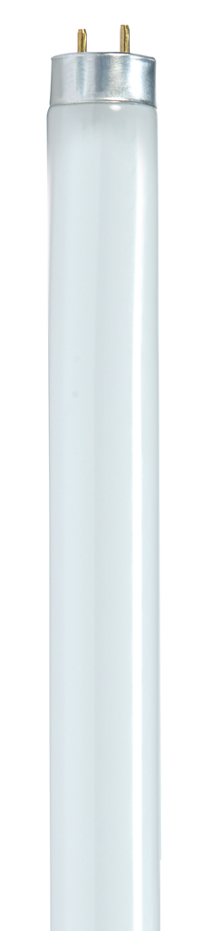 Product image for Satco S8433 17 Watt; T8; Fluorescent; 6500K Daylight; 82 CRI; Medium Bi Pin base