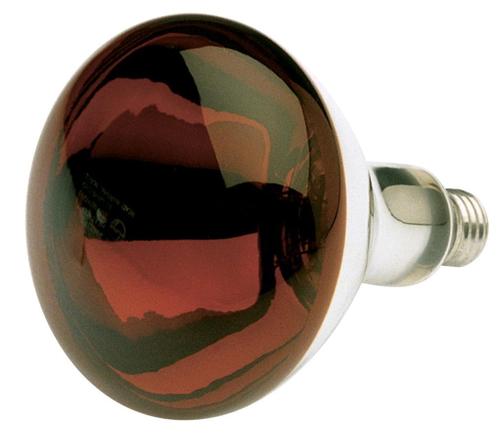 Product image for Satco S4884 250 Watt R40 Incandescent; Red Heat; 6000 Average rated hours; Medium base; 120 Volt; Shatter Proof
