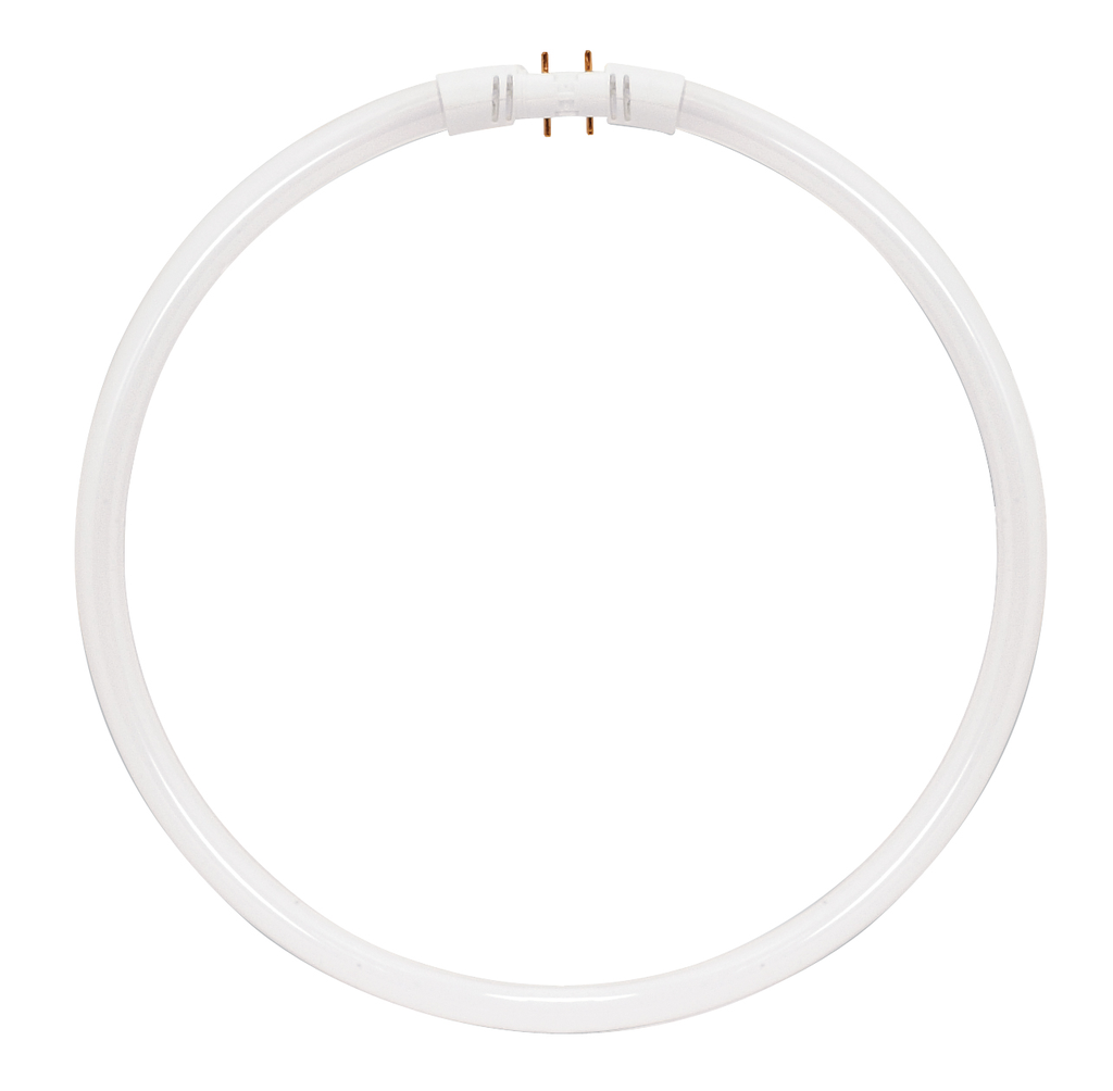 Product image for Satco S8162 55 Watt; T5; Circline Fluorescent; 3500K Neutral White; 82 CRI; 2GX13 (4-Pin) base