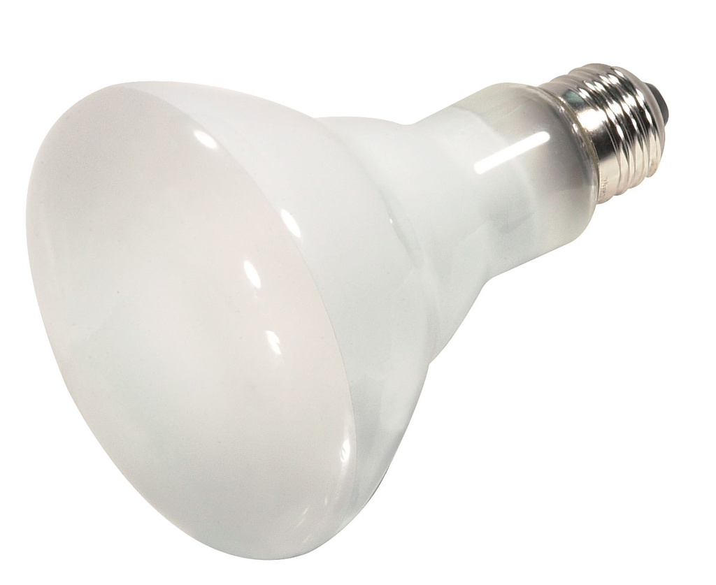 Product image for Satco S4402 75 Watt; Halogen; BR30; 2500 Average rated Hours; 900 Lumens; Medium base; 130 Volt