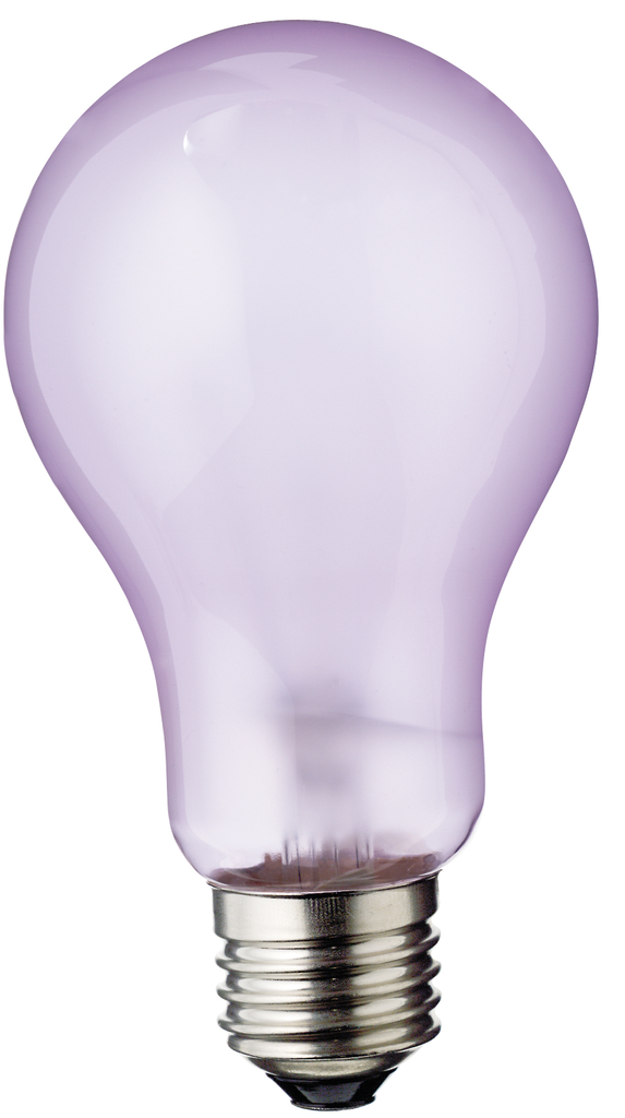 Product image for Satco S4822 150 Watt A21 Incandescent; Full Spectrum; 5000 Average rated hours; 1400 Lumens; Medium base; 120 Volt