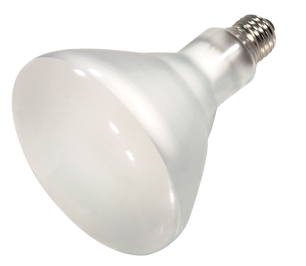 Product image for Satco S4504 75W Halogen; BR40; 2500 Average rated Hours; 900 Lumens; Medium base; 120 Volt