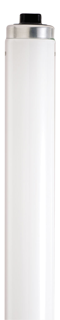 Product image for Satco S6589 110 Watt; T12; Shatter Proof Fluorescent; 4200K Cool White; 62 CRI; Recessed Double Contact HO/VHO base