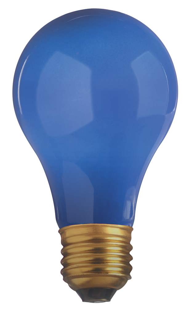 Product image for Satco S4981 40 Watt A19 Incandescent; Ceramic Blue; 2000 Average rated hours; Medium base; 130 Volt