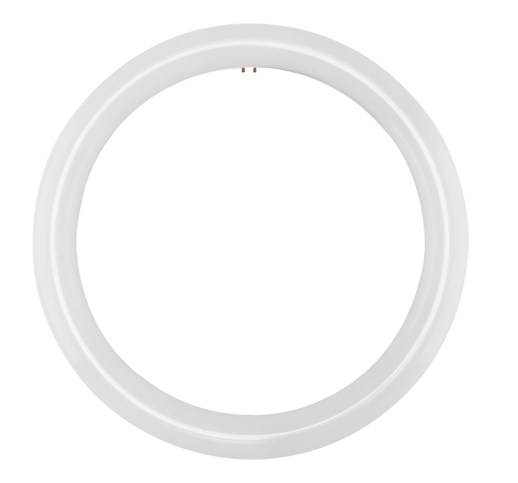 Product image for Satco S16505 LED Circline; 16 Watt; T9; 6500K; G10Q Base; 120-277 Volt; Type B; Ballast Bypass