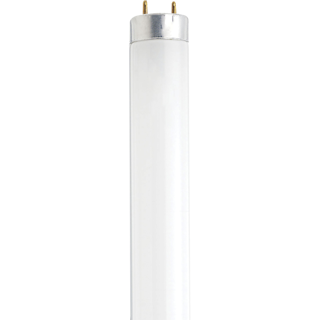 Product image for Satco S7920 13 Watt; 12 Inch Fluorescent T8; 4100K; Cool White; Medium Bi Pin base