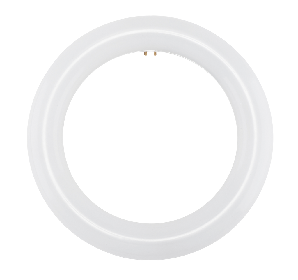 Product image for Satco S16502 LED Circline; 11W T9; 6500K; G10Q Base; 120-277 Volt; Type B; Ballast Bypass