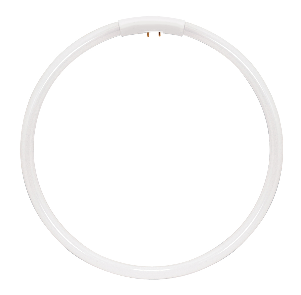 Product image for Satco S8164 40 Watt; T5; Circline Fluorescent; 2700K Warm White; 82 CRI; 4-Pin base