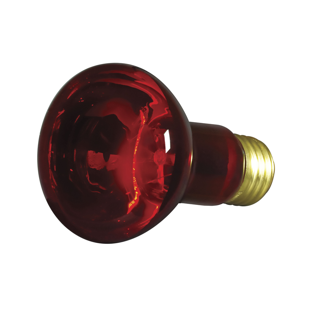 Product image for Satco S3200 50 Watt R20 Incandescent; Red; 2000 Average rated hours; Medium base; 130 Volt
