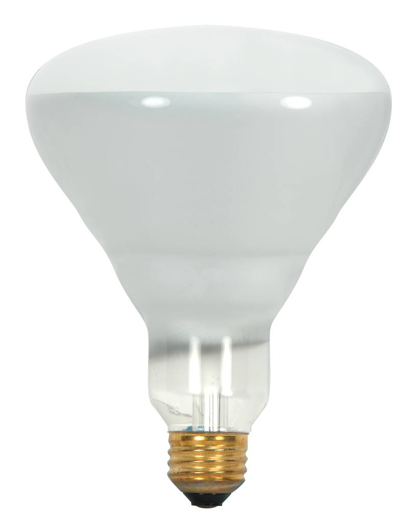 Product image for Satco S8521 65 Watt BR40 Incandescent; Frost; 5000 Average rated hours; 510 Lumens; Medium Skirted base; 130 Volt