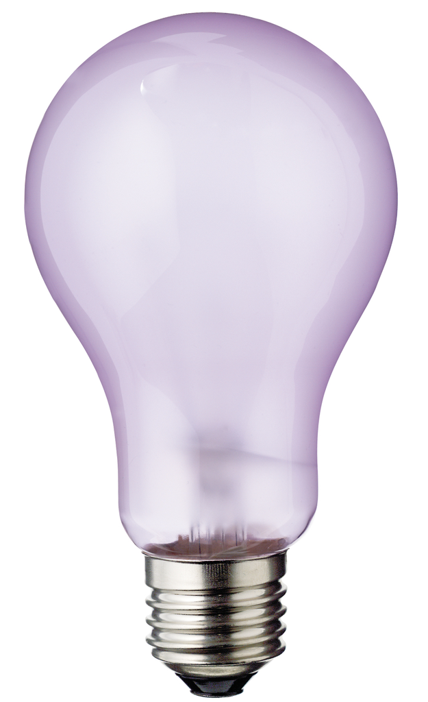Product image for Satco S4821 100 Watt A21 Incandescent; Full Spectrum; 5000 Average rated hours; 910 Lumens; Medium base; 120 Volt