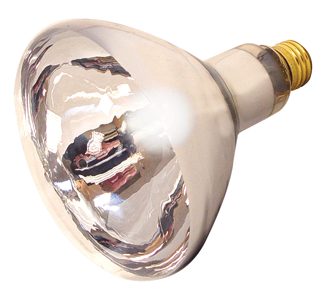 Product image for Satco S4755 250 Watt R40 Incandescent; Clear Heat; 6000 Average rated hours; Medium base; 120 Volt; 2-Pack