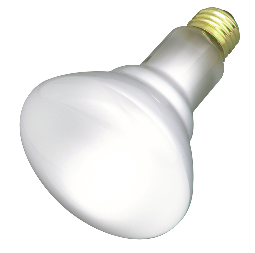 Product image for Satco S3259 50 Watt BR30 Incandescent; Frost; 2000 Average rated hours; 360 Lumens; Medium base; 120 Volt