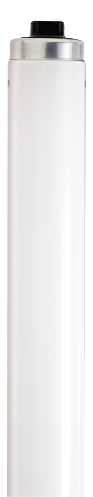 Product image for Satco S5227 135 Watt; T12; Fluorescent; 6500K Daylight; 76 CRI; Recessed Double Contact HO/VHO base