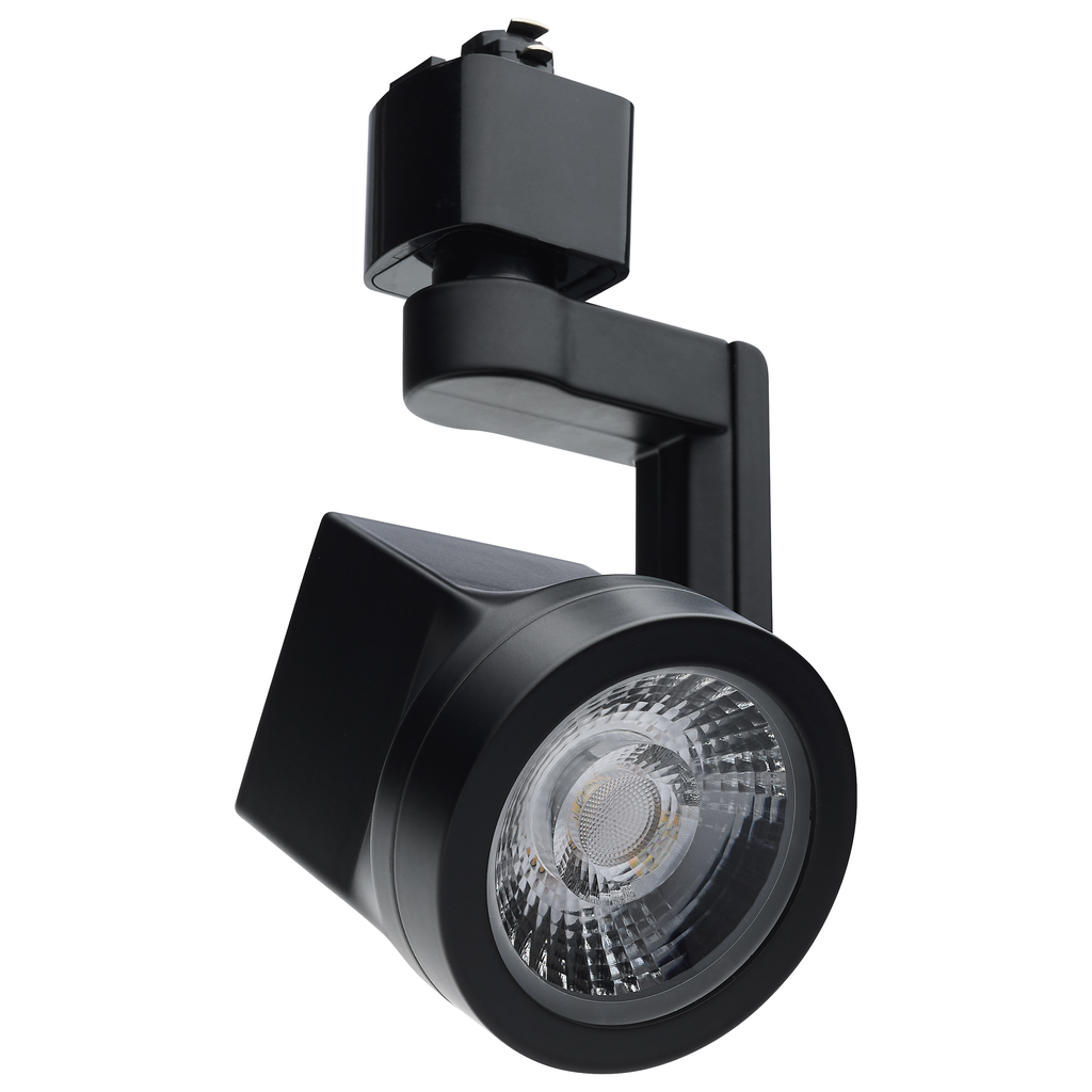 Product image for SATCO TH662 12W LED LANTERN TRK HD
