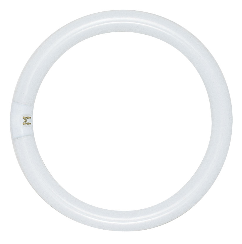 Product image for Satco S2954 40 Watt; T9; Circline Fluorescent; 3000K Warm White; 52 CRI; 4-Pin base