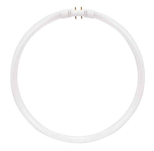 Product image for Satco S8159 40 Watt; T5; Circline Fluorescent; 3500K Neutral White; 82 CRI; 2GX13 (4-Pin) base
