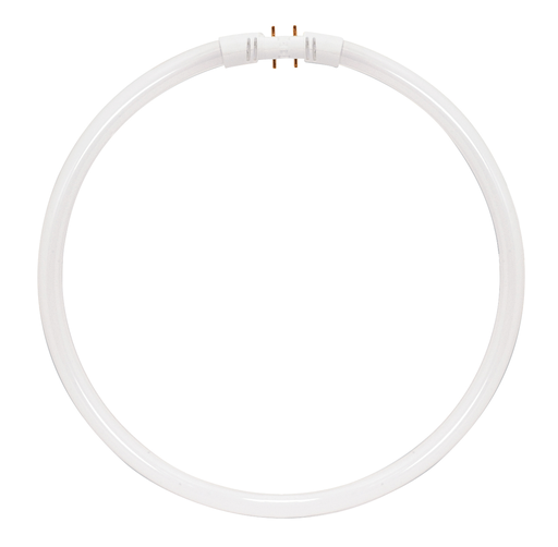 Product image for Satco S2956 22W T5; Circline Fluorescent; 3500K Neutral White; 82 CRI; 2GX13 (4-Pin) base