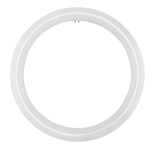 Product image for Satco S16504 LED Circline; 16 Watt; T9; 4000K; G10Q Base; 120-277 Volt; Type B; Ballast Bypass