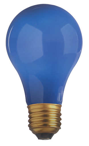 Product image for Satco S4981 40 Watt A19 Incandescent; Ceramic Blue; 2000 Average rated hours; Medium base; 130 Volt