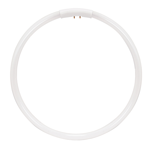 Product image for Satco S8166 22 Watt; T5; Circline Fluorescent; 6500K Daylight; 82 CRI; 4-Pin base