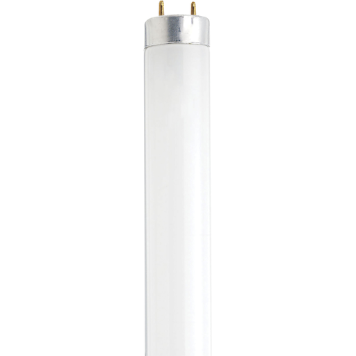 Product image for Satco S7920 13 Watt; 12 Inch Fluorescent T8; 4100K; Cool White; Medium Bi Pin base
