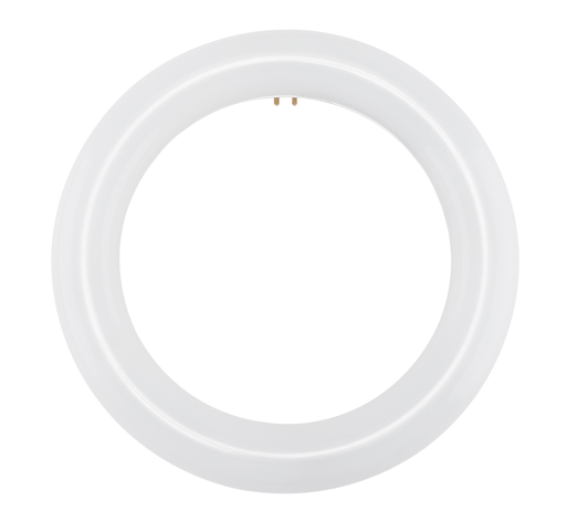 Product image for Satco S16502 LED Circline; 11W T9; 6500K; G10Q Base; 120-277 Volt; Type B; Ballast Bypass