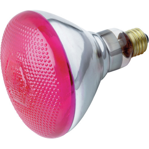 Product image for Satco S4429 100 Watt BR38 Incandescent; Pink; 2000 Average rated hours; Medium base; 120 Volt