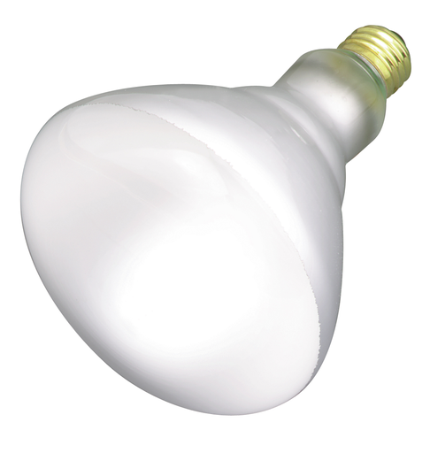 Product image for Satco S2853 65 Watt BR40 Incandescent; Frost; 2500 Average rated hours; 580 Lumens; Medium base; 120 Volt