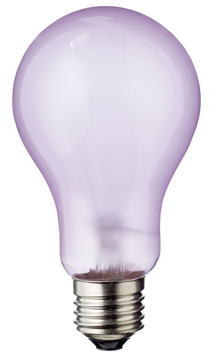 Product image for Satco S4821 100 Watt A21 Incandescent; Full Spectrum; 5000 Average rated hours; 910 Lumens; Medium base; 120 Volt