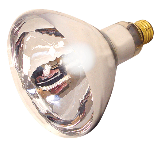 Product image for Satco S4755 250 Watt R40 Incandescent; Clear Heat; 6000 Average rated hours; Medium base; 120 Volt; 2-Pack