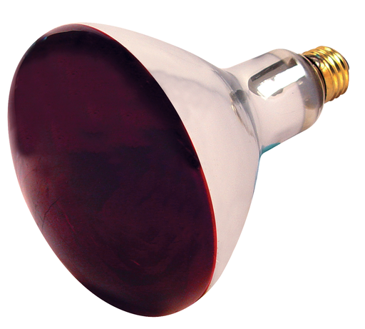 Product image for Satco S4998 250 Watt R40 Incandescent; Red Heat; 6000 Average rated hours; Medium base; 120 Volt