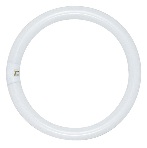 Product image for Satco S6503 32 Watt; T9; Circline Fluorescent; 4100K Cool White; 62 CRI; 4-Pin base