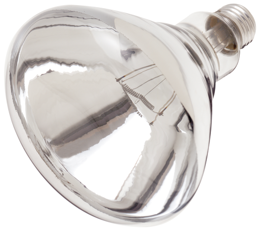 Product image for Satco S4885 250 Watt R40 Incandescent; Clear Heat; 6000 Average rated hours; Medium base; 120 Volt; Shatter Proof