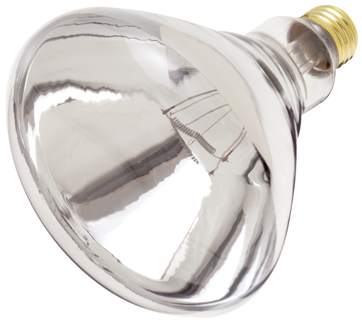 Product image for Satco S4999 250 Watt R40 Incandescent; Clear Heat; 6000 Average rated hours; Medium base; 120 Volt