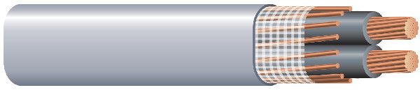 Mayer-DDS-55876801 - MCAP (All Purpose)-1