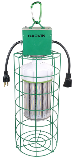 Product image for SWC TL100LEDPT LED TEMPLGHT STRING