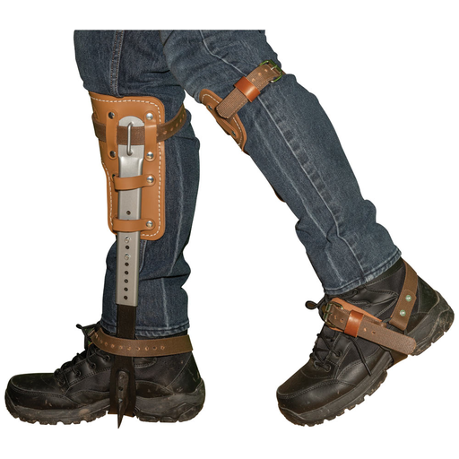 Image thumbnail 3